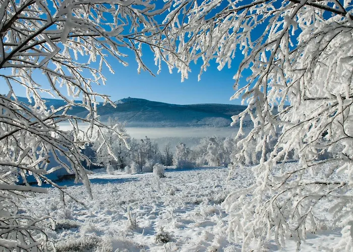 Kras 112 Apartament *